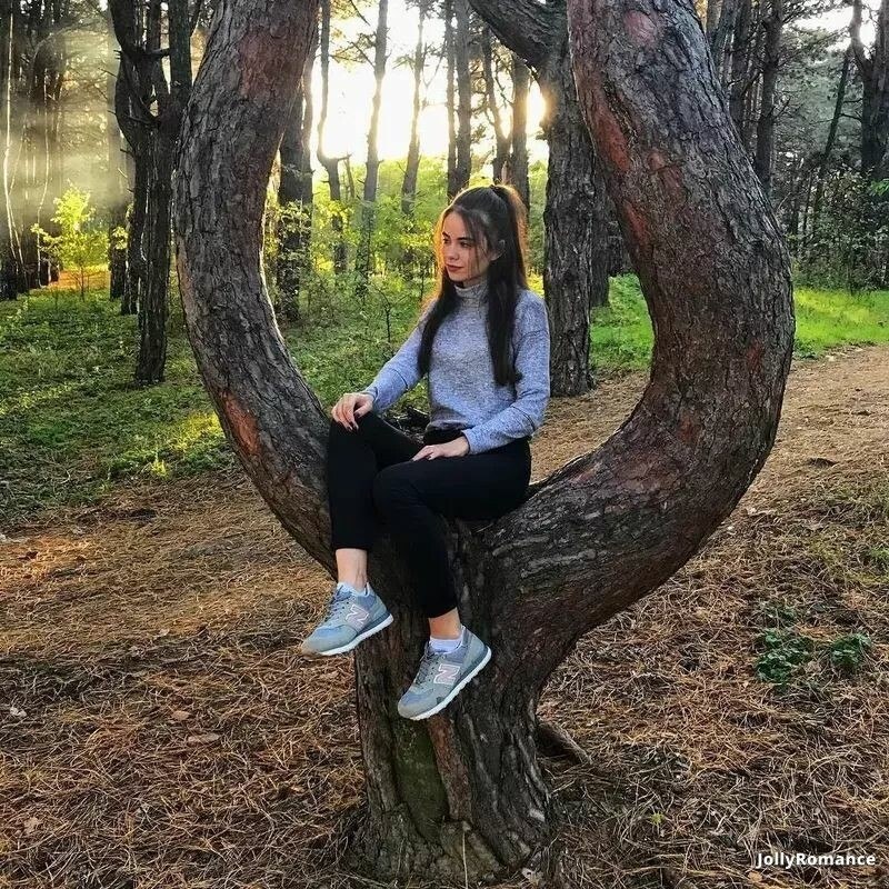 Sofiya Profile image 2