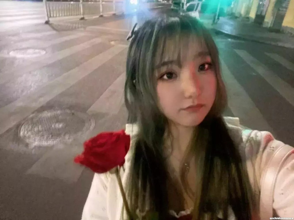 Wenqing Profile image 5