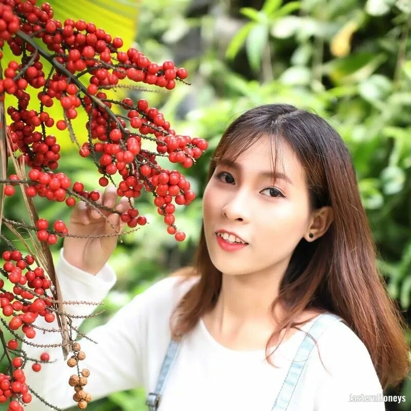 Thi Nhu Mai Profile image 4