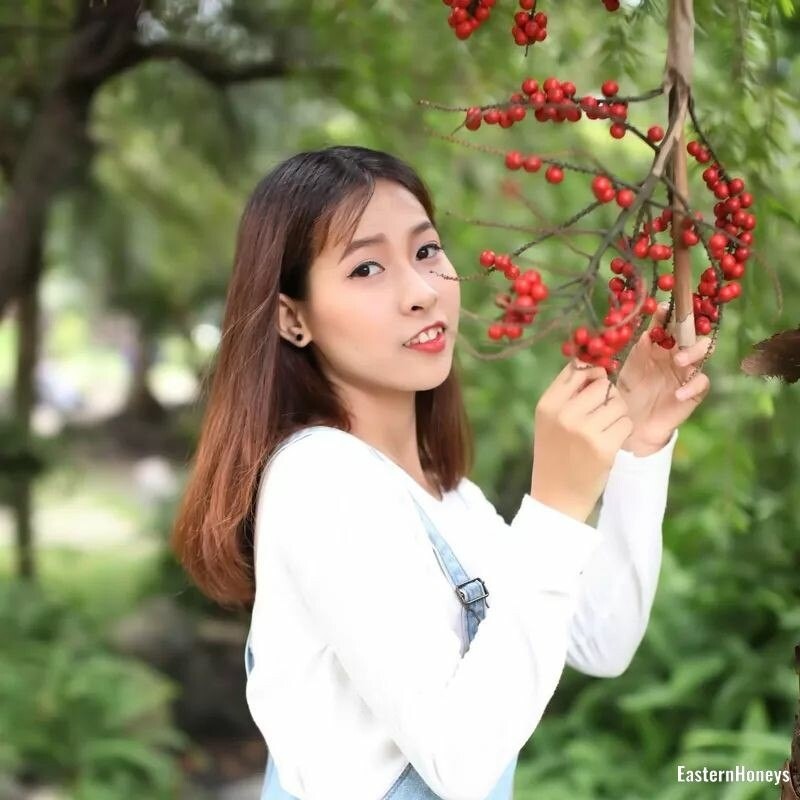 Thi Nhu Mai Profile image 2